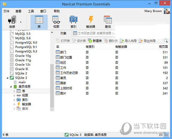 navicat premium