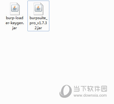 burpsuite