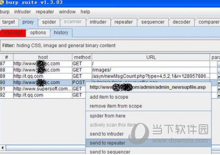 burpsuite pro