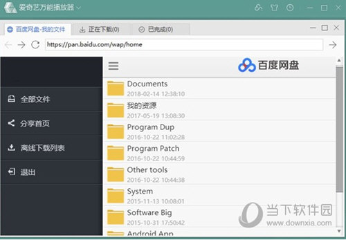 爱奇艺万能播放器绿色版