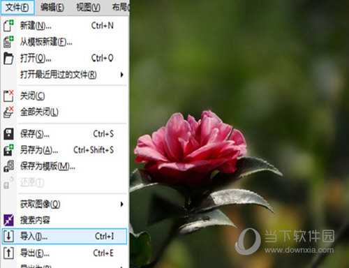 CorelDraw X4 SP2 精简增强版