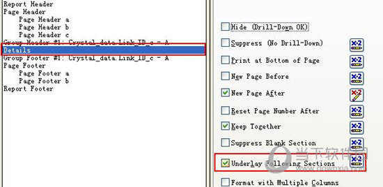 Crystal Reports 2013