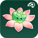 禅定花园 V3.7.1 苹果版