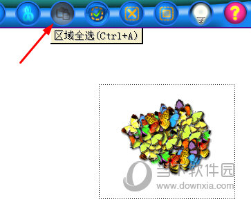 区域全选