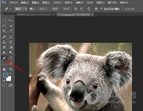 PhotoshopCC2015中文版