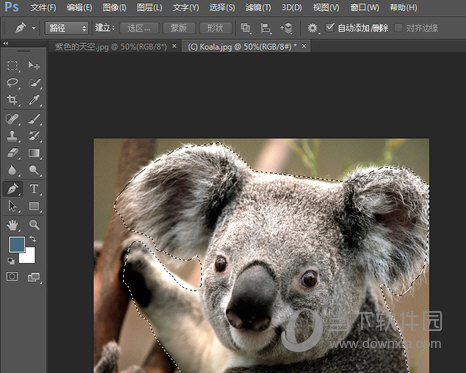PhotoshopCC2015中文版
