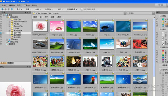 ACDSee15完美破解版