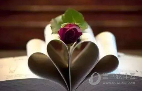 手机文学阅读APP