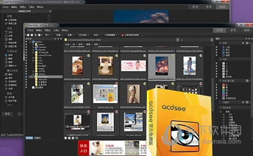 acdsee pro 8 acdsee pro 8