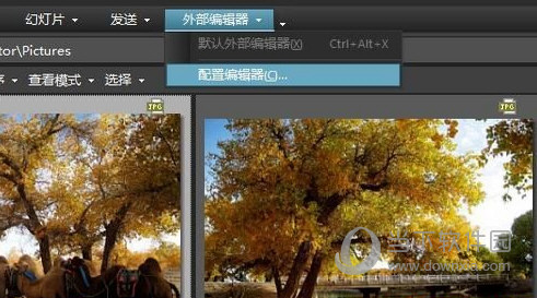 ACDSee Pro 5.0简体中文版