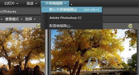 ACDSee Pro 5.0简体中文版