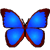 bkViewer