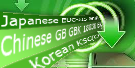 支持多种编码