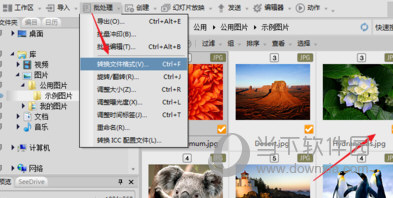 ACDSee18中文版免费下载