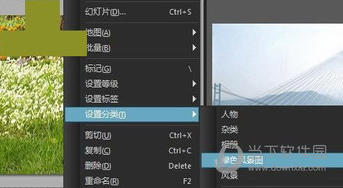 ACDSee19中文版免费下载