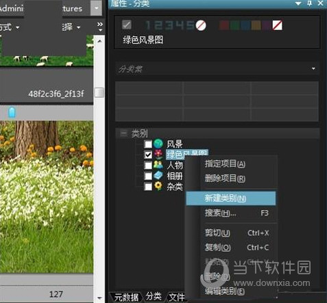 ACDSee19中文版免费下载