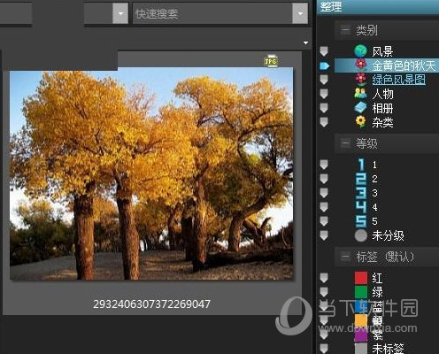 ACDSee19中文版免费下载