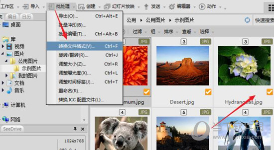 ACDSee19中文版免费下载