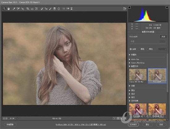 Camera Raw 9.3