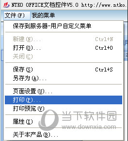 NTKO OFFICE文档控件