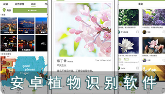 植物识别APP