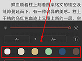 掌阅怎么换背景 自定义背景方法