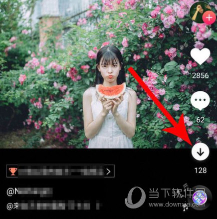 图虫网APP