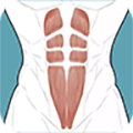 跟我练腹肌APP V2.9.0 官方手机版
