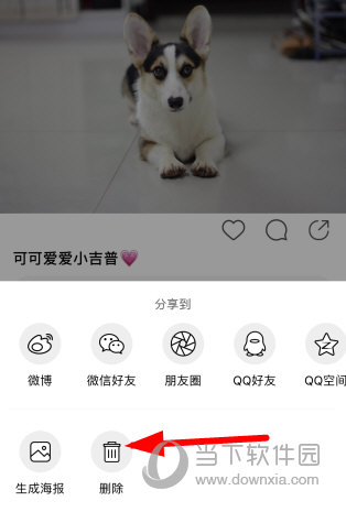 微博绿洲