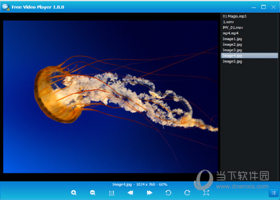 Free Videos Copy Protection