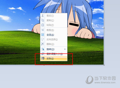 反色