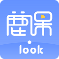 鹿课Look V1.0.3 官方版