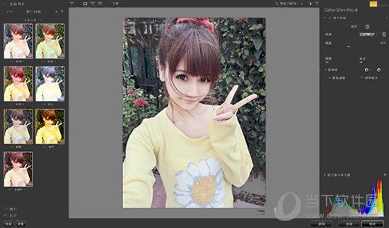 Nik Color Efex Pro 4.0中文破解版