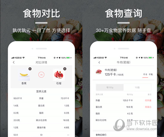 薄荷营养师电脑版