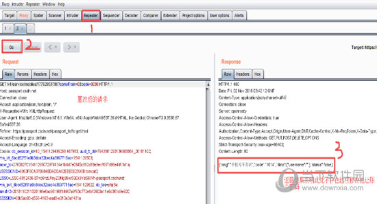 burpsuite pro