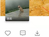 马卡龙玩图如何删除作品 看完你就懂了