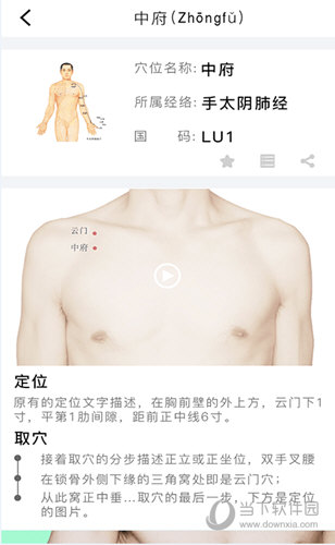 灸大夫经络穴位图解
