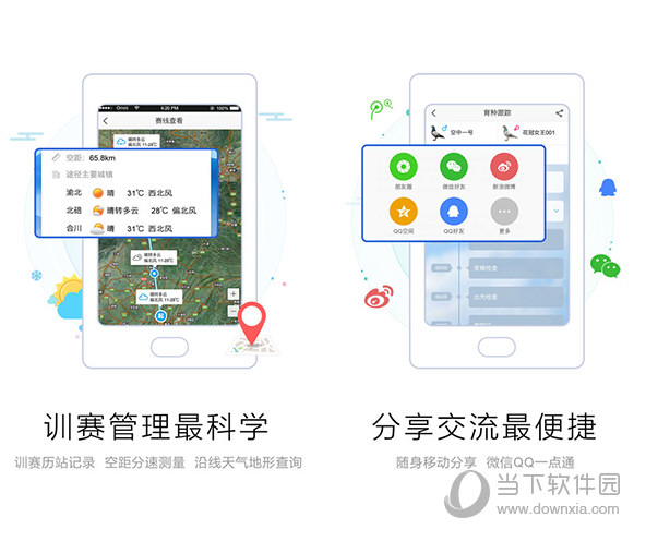 爱鸽者电脑版
