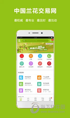 兰花交易网APP