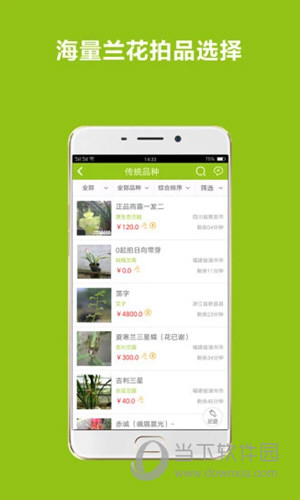兰花交易网APP