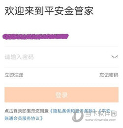 中国平安金管家电脑版下载