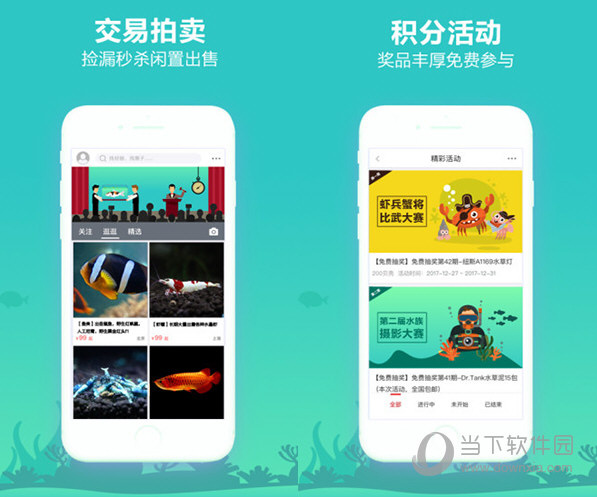 泡泡水族电脑版