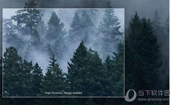Capture One20.0.3破解版