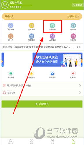 找到“皮肤设置”功能