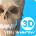 维萨里3D解剖 V6.0.0 安卓版