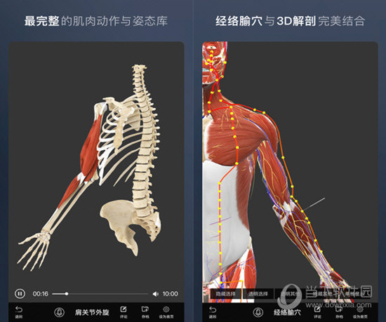 维萨里3D解剖APP