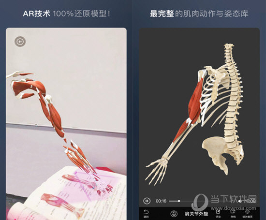 维萨里3D解剖APP