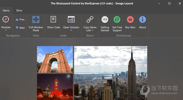 DevExpress19破解版