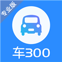 车300