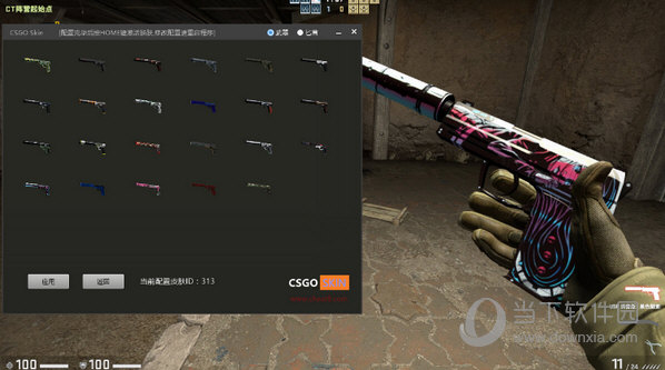 CSGO Skin